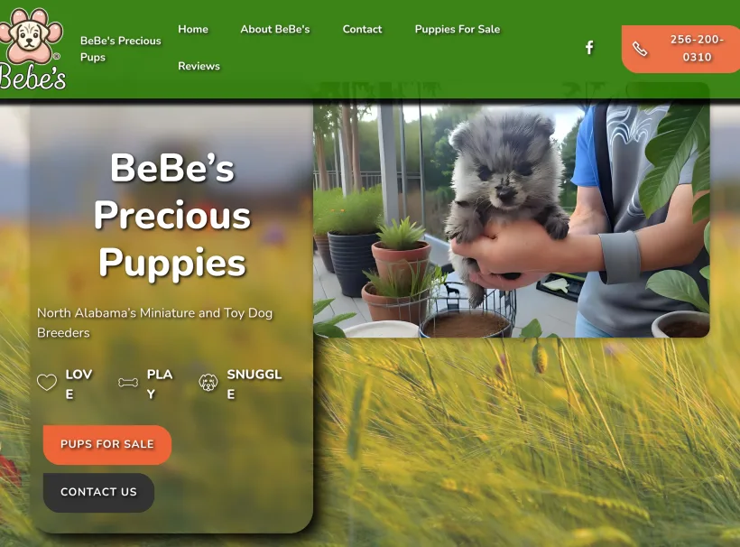 BeBe's Precious Puppies website