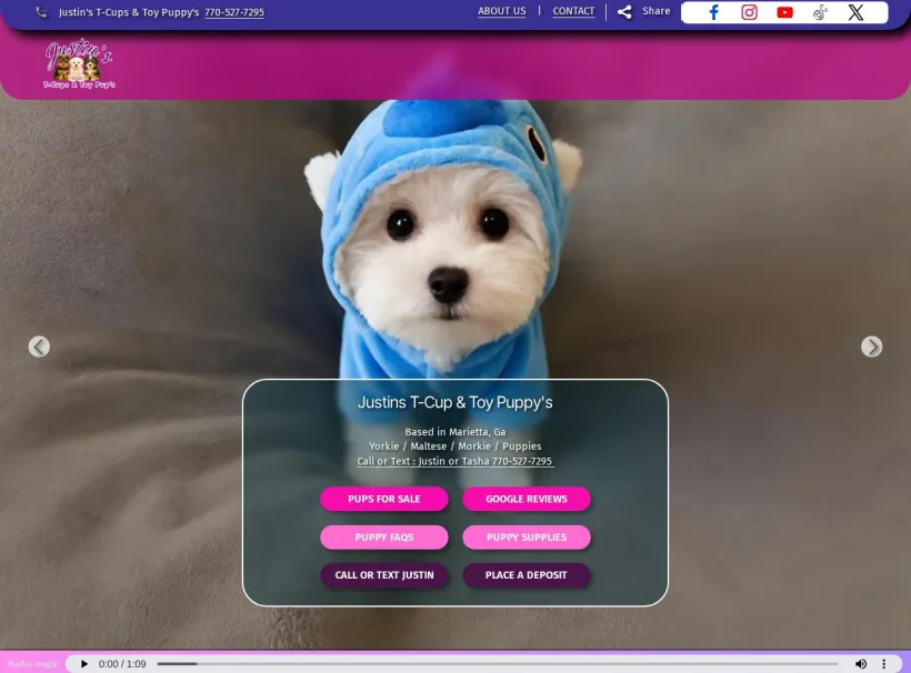 Tcups And Toy Pups website